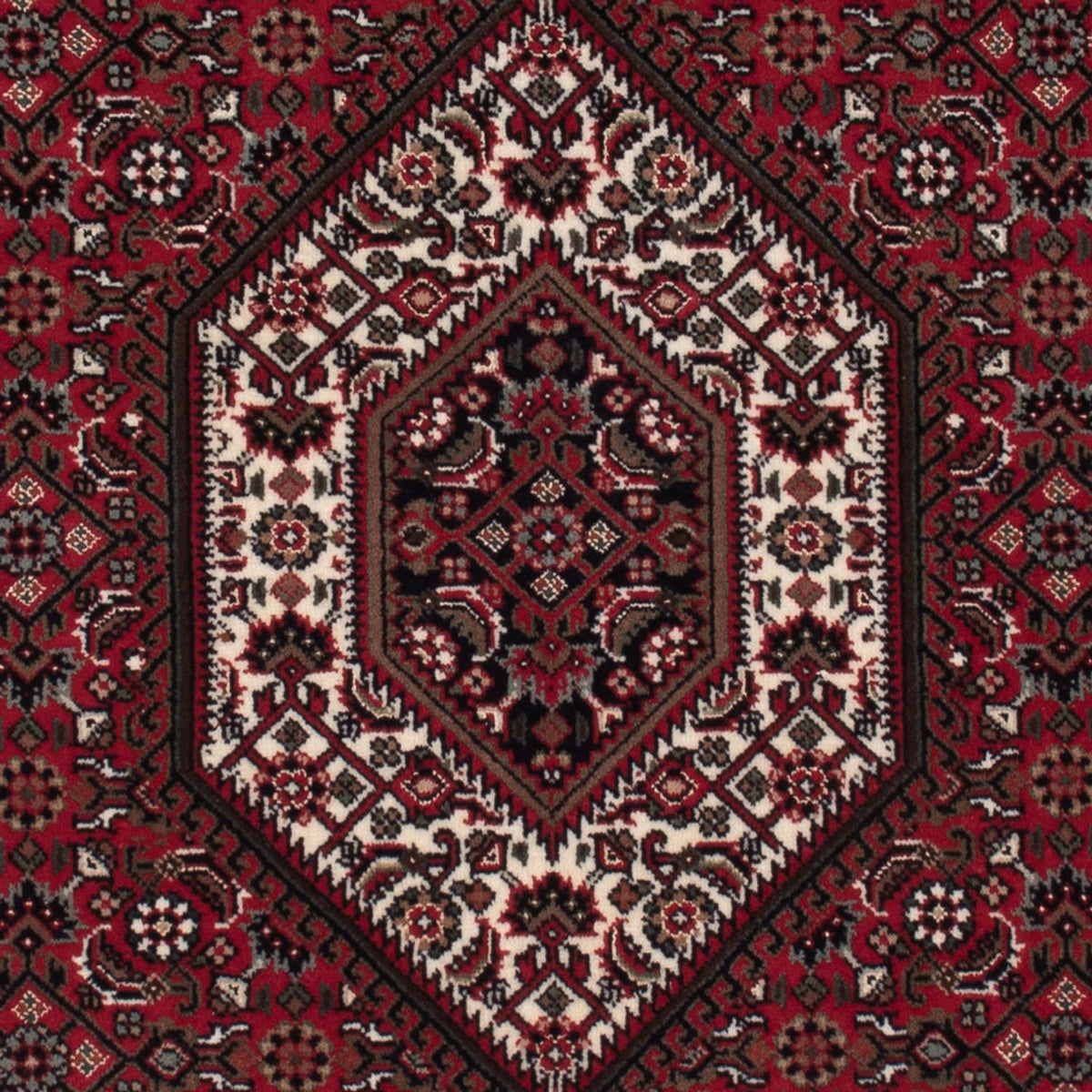 Orientalsk tæppe - Bijar - Indus - 160 x 92 cm - mørk beige