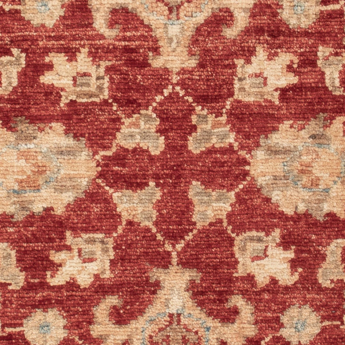 Ziegler Carpet - 85 x 59 cm - rød