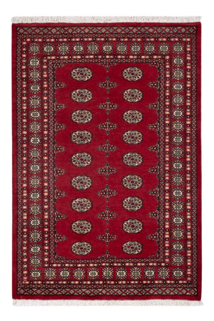 Pakistan Tæppe - 189 x 126 cm - rød