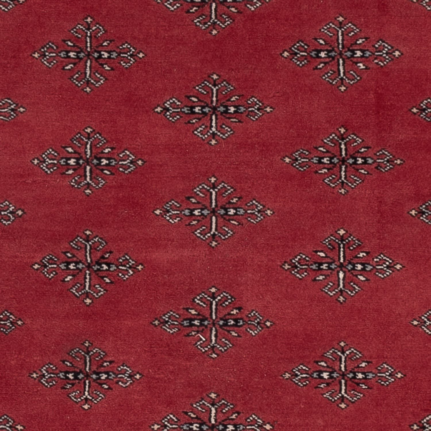Pakistan Tæppe - 183 x 124 cm - rød
