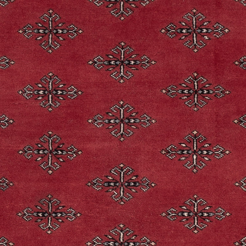 Pakistan Tæppe - 183 x 124 cm - rød