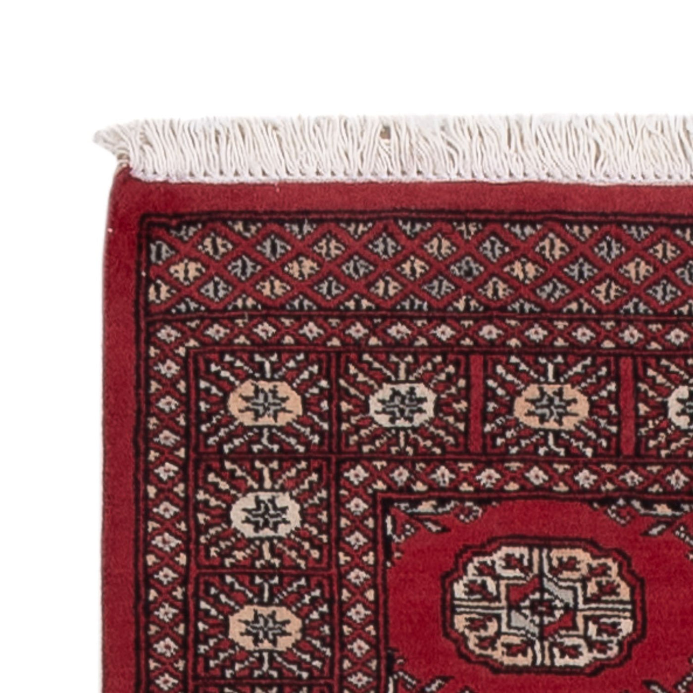 Pakistan Tæppe 312x79cm - Orientalsk tæppe