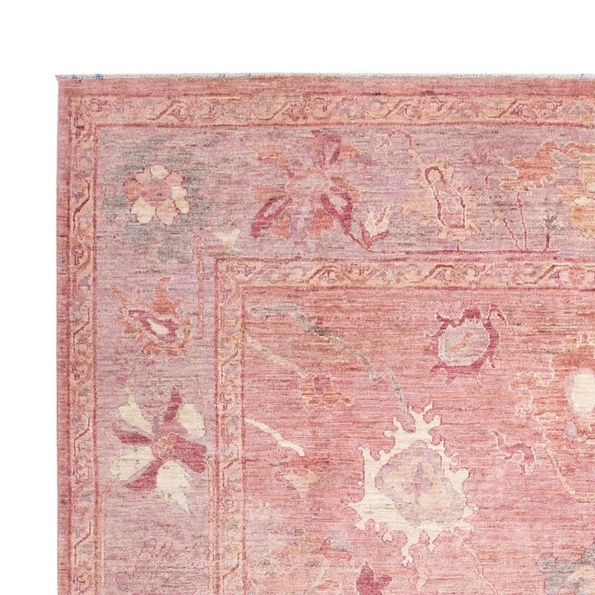 Ziegler Carpet - Usak - 288 x 202 cm - lysrød