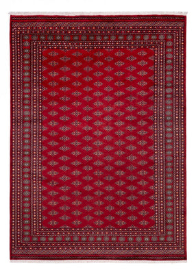 Afghansk tæppe - Bukhara - 350 x 253 cm - rød