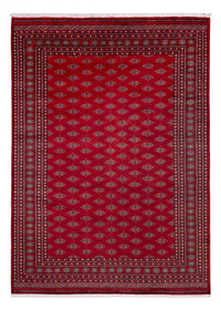 Afghansk tæppe - Bukhara - 350 x 253 cm - rød