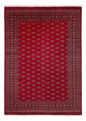 Afghansk tæppe - Bukhara - 350 x 253 cm - rød
