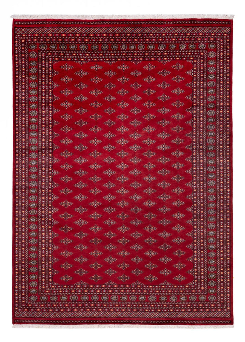 Afghansk tæppe - Bukhara - 350 x 253 cm - rød