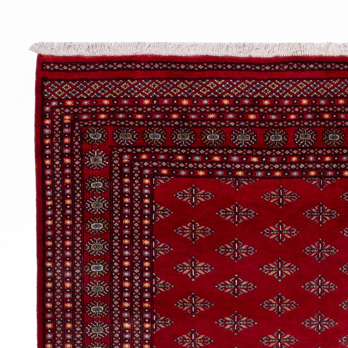 Bukhara Tæppe 350x253cm - Orientalsk tæppe