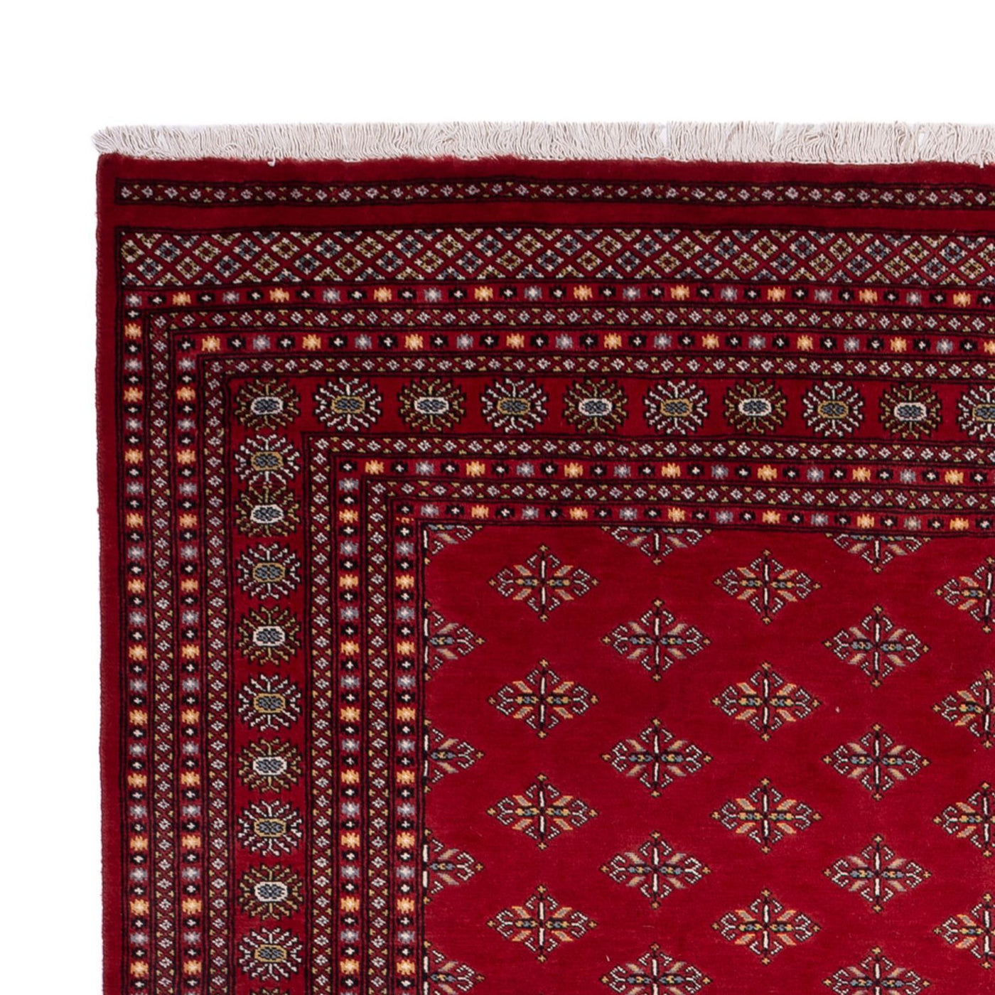 Bukhara Tæppe 365x249cm - Orientalsk tæppe
