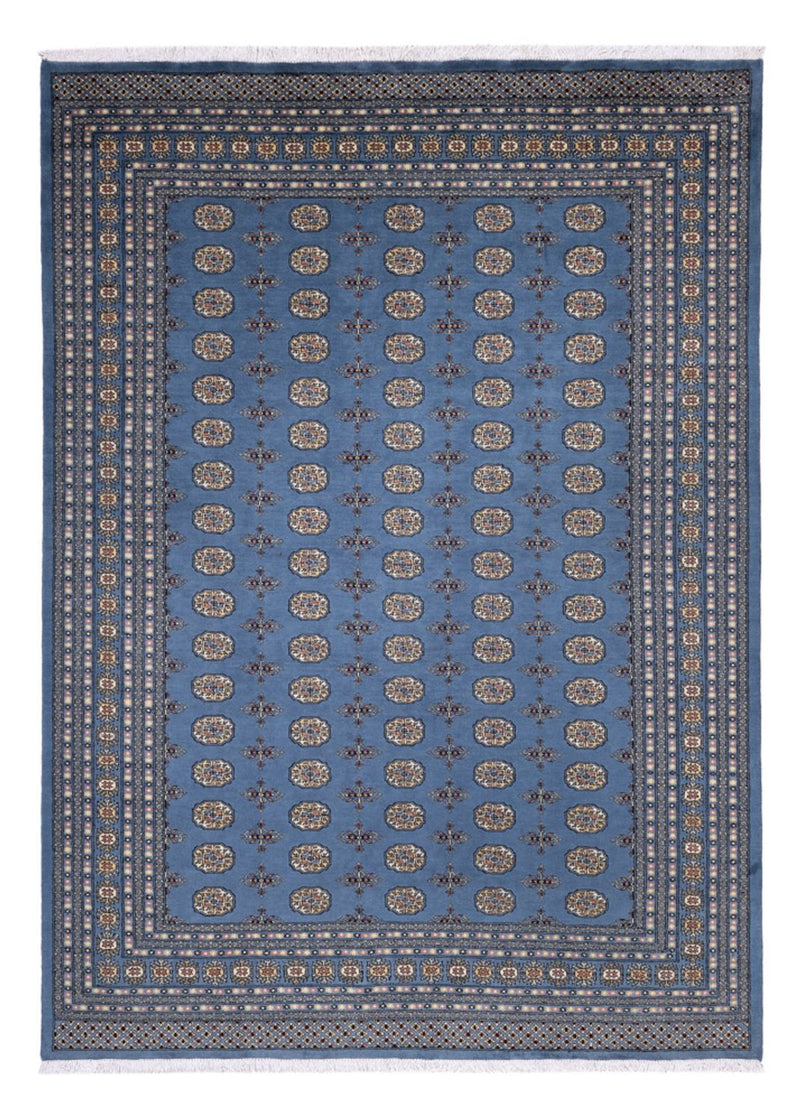 Afghansk tæppe - Bukhara - 344 x 248 cm - blå