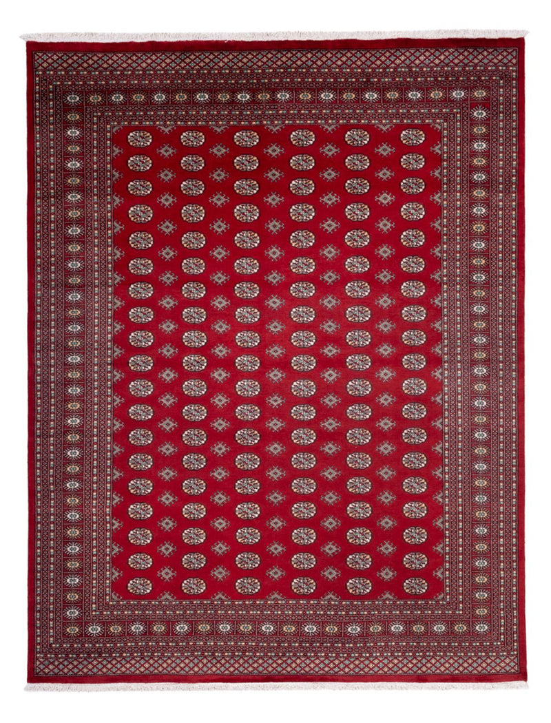 Afghansk tæppe - Bukhara - 362 x 278 cm - rød