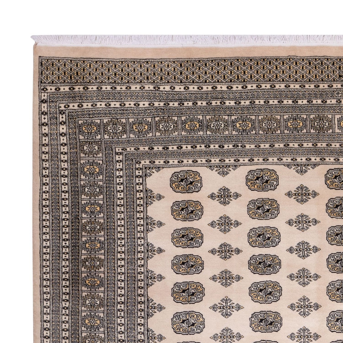 Afghansk tæppe - Bukhara - 359 x 278 cm - beige