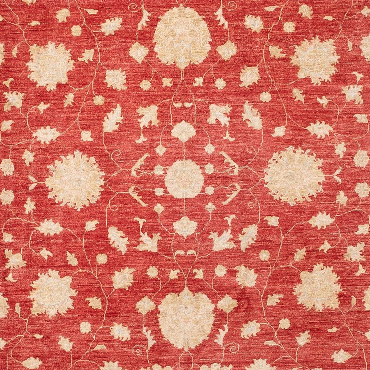 Ziegler Carpet - 413 x 198 cm - rød