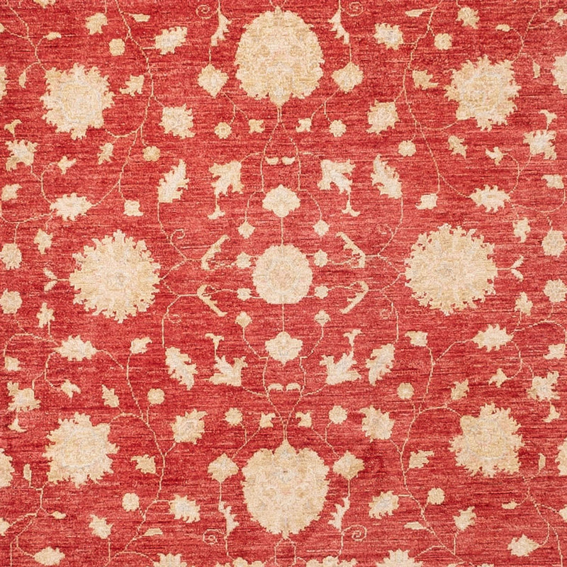 Ziegler Carpet - 413 x 198 cm - rød