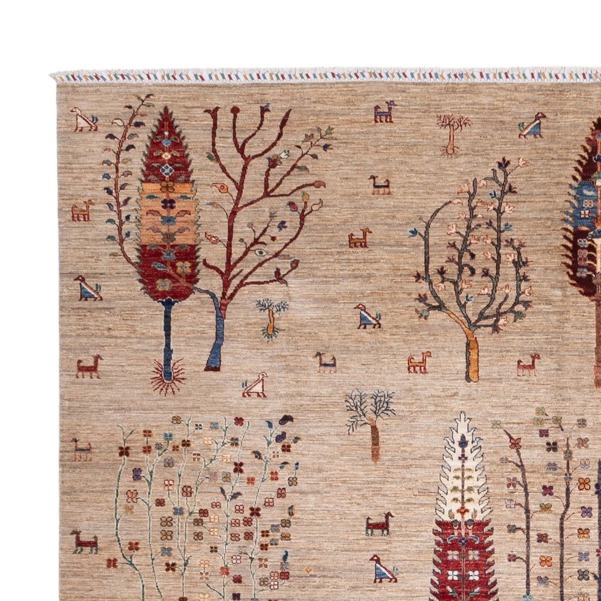 Ziegler Carpet - Ariana - 392 x 292 cm - beige