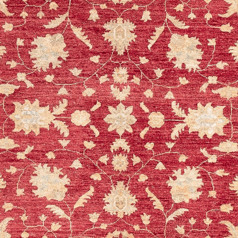 Løber Ziegler Carpet - 402 x 152 cm - rød