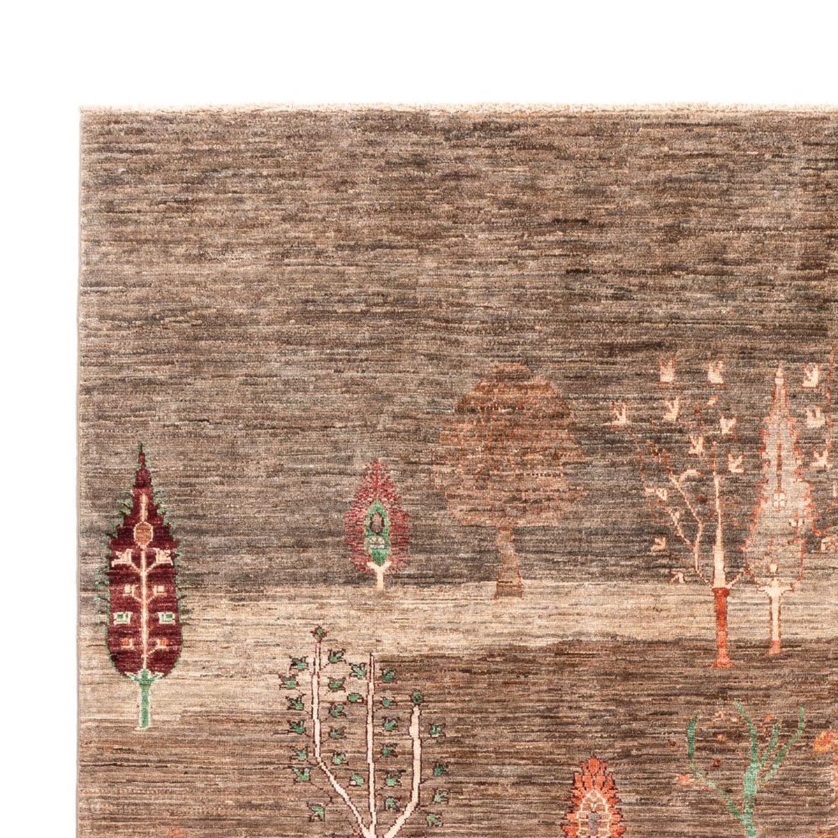 Ziegler Carpet - Ariana - 303 x 208 cm - beige