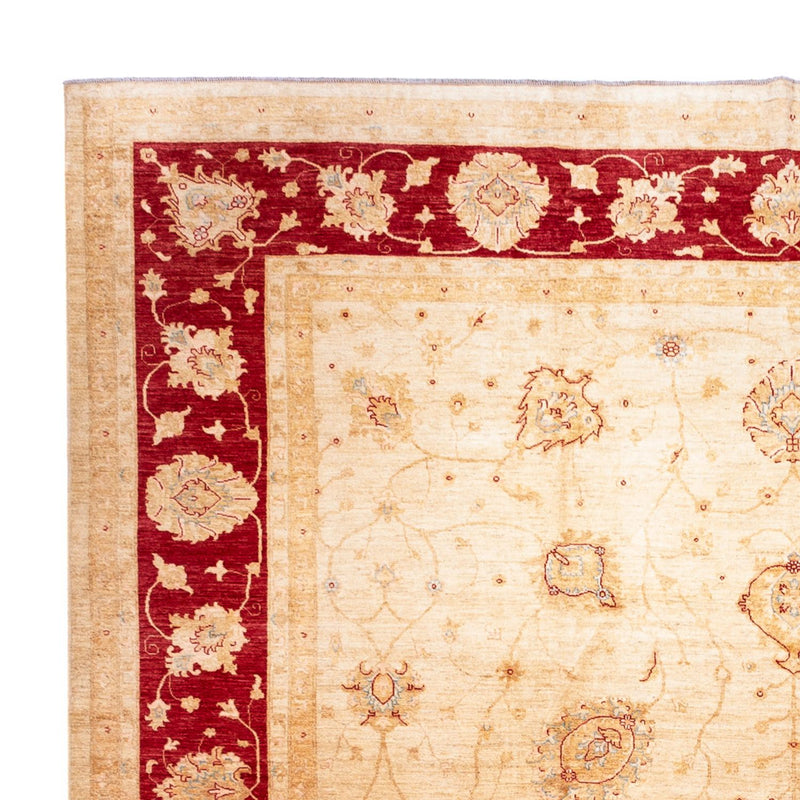 Ziegler Carpet - 584 x 394 cm - beige