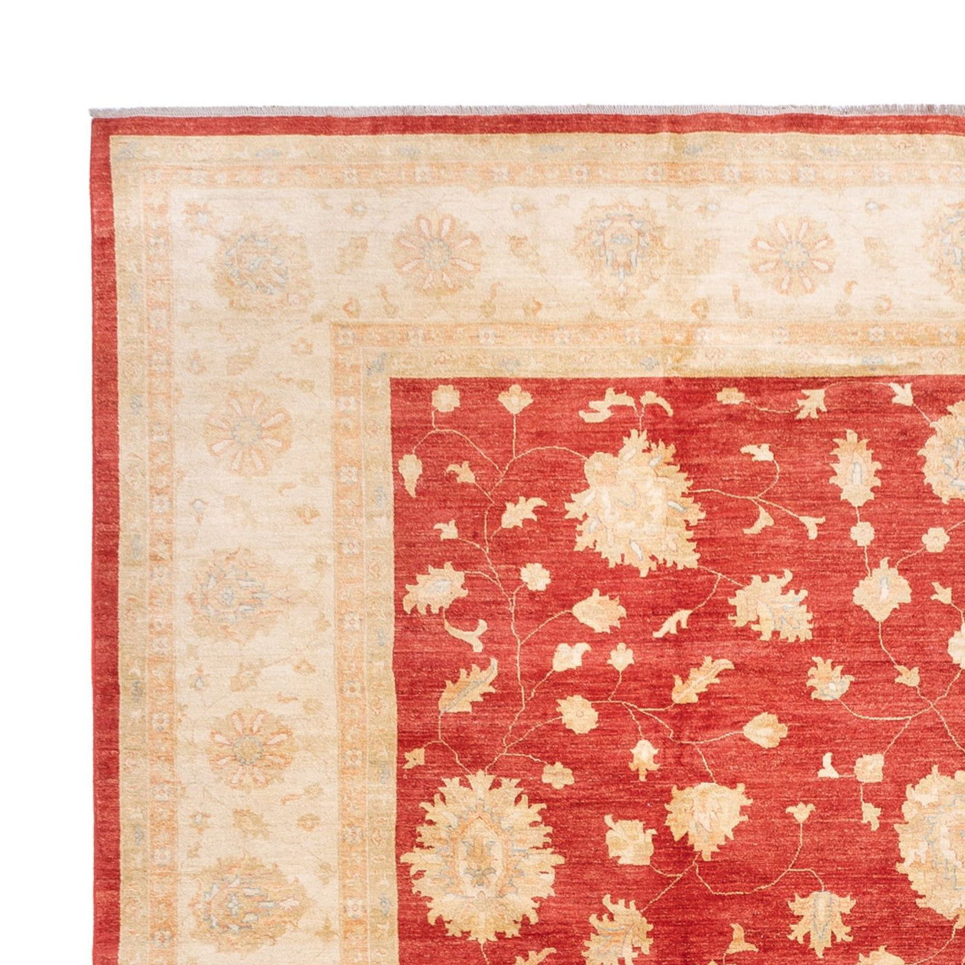 Ziegler Carpet 686x402cm - Orientalsk tæppe