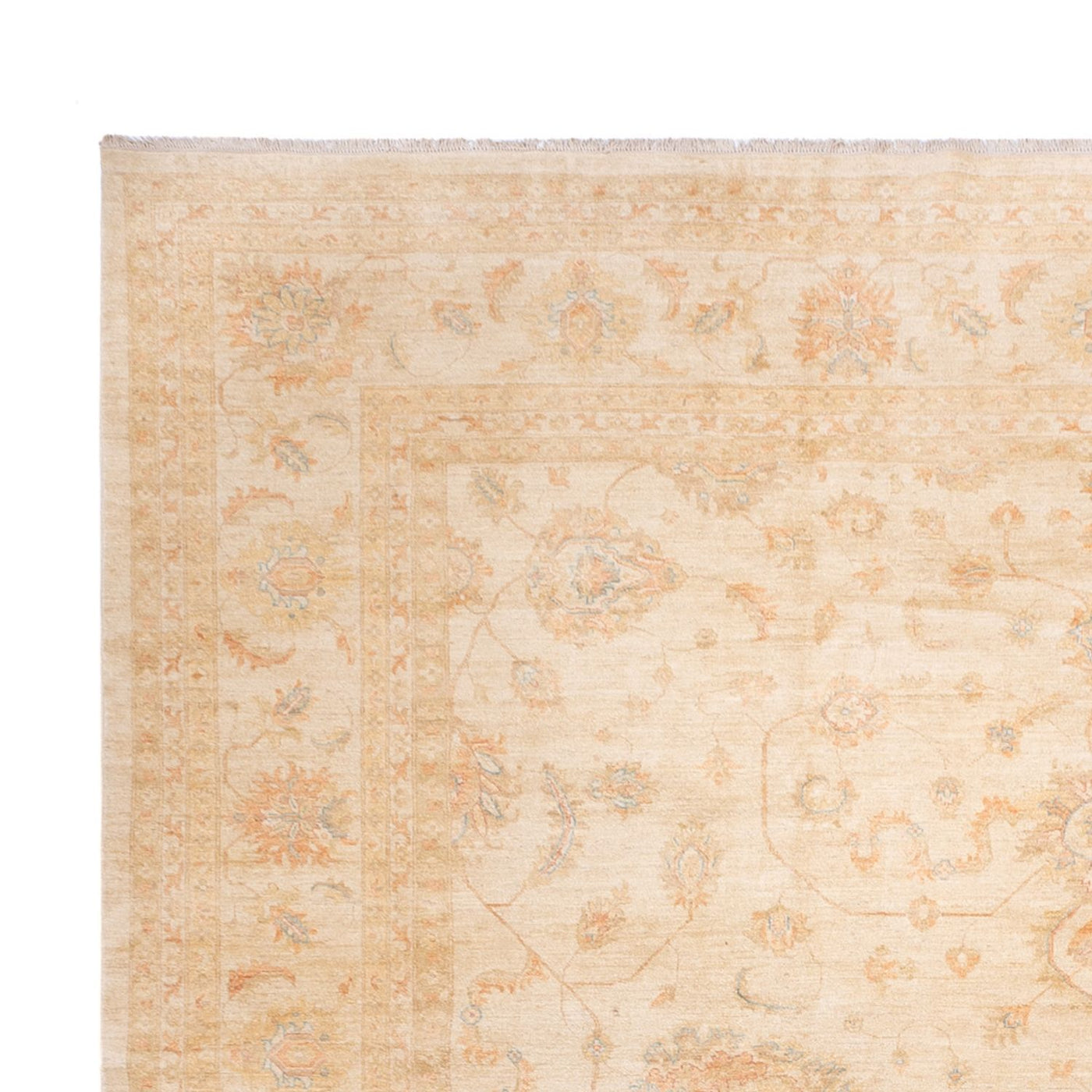 Ziegler Carpet 585x396cm - Orientalsk tæppe