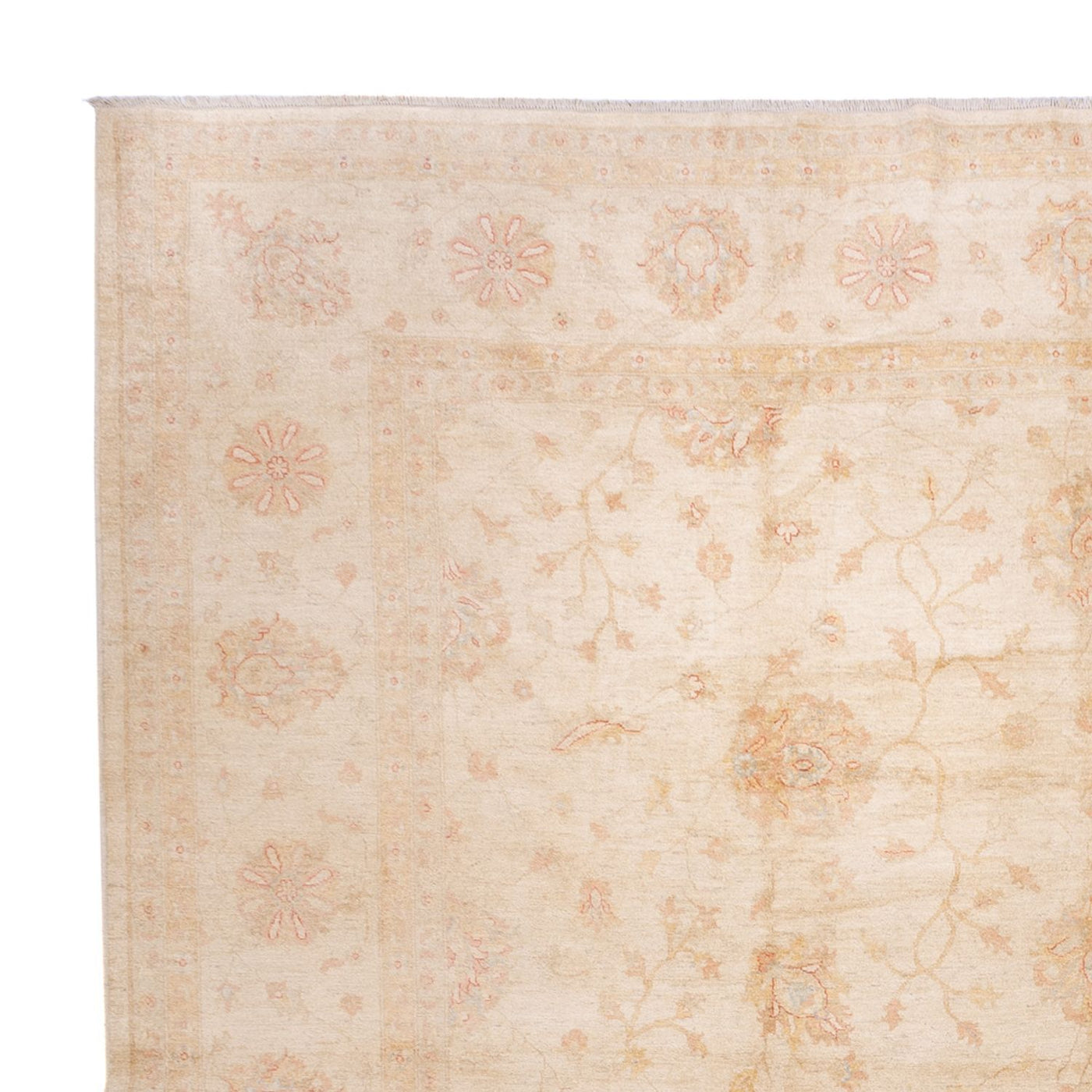 Ziegler Carpet 592x403cm - Orientalsk tæppe