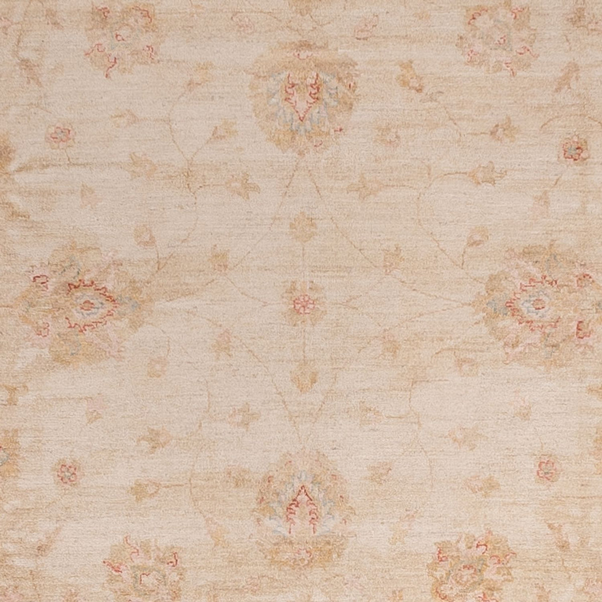 Ziegler Carpet firkantet  - 340 x 345 cm - rød