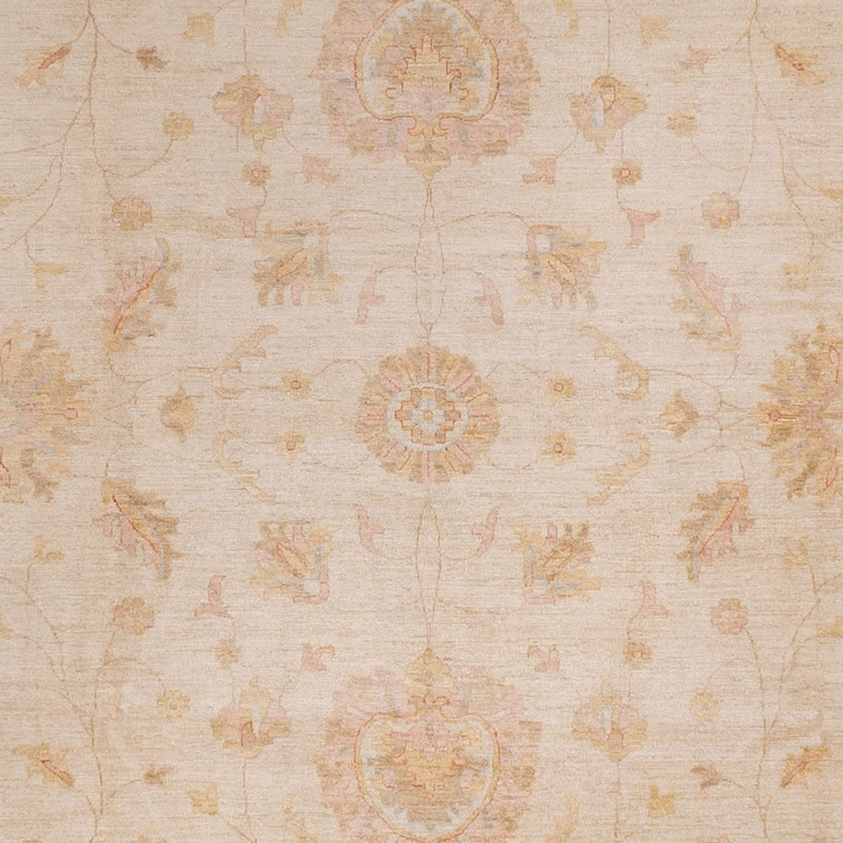 Ziegler Carpet - 490 x 357 cm - beige