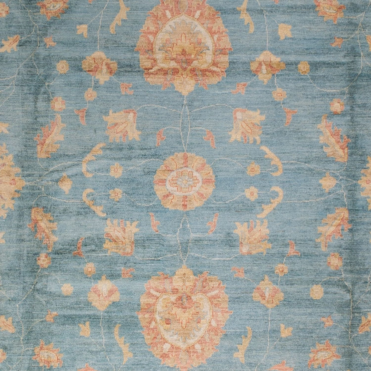 Ziegler Carpet - 496 x 409 cm - lyseblå