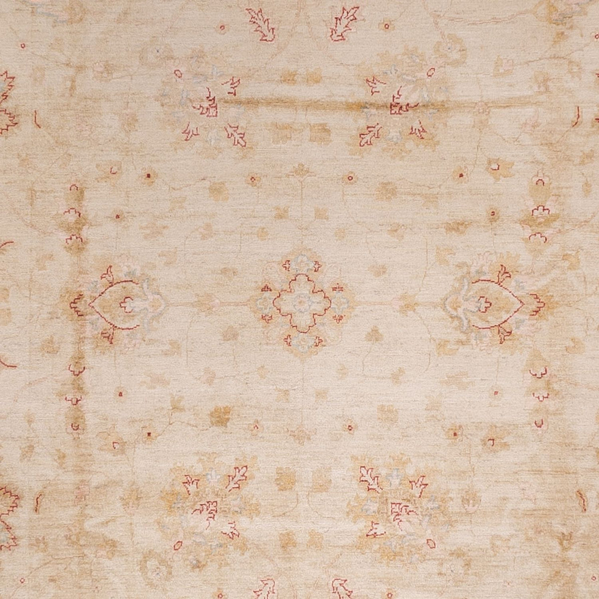 Ziegler Carpet - 487 x 353 cm - rød