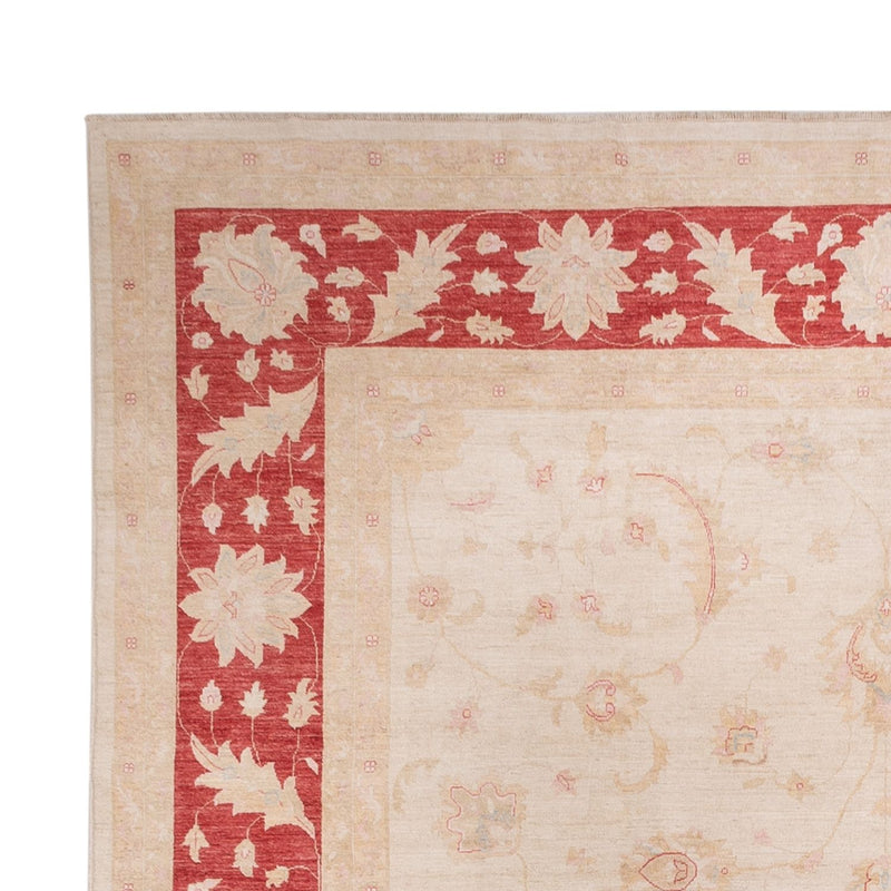 Ziegler Carpet - 538 x 350 cm - beige