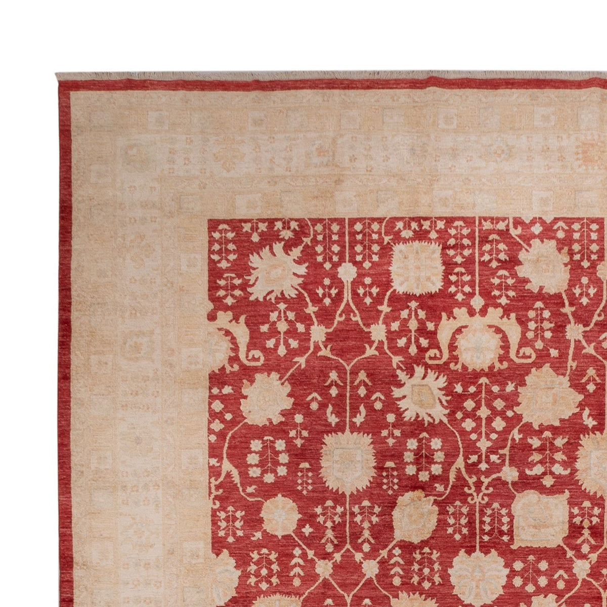 Ziegler Carpet 400x495cm - Orientalsk tæppe