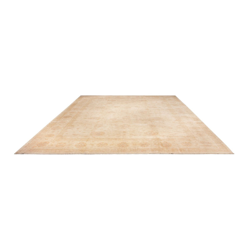 Ziegler Carpet - 503 x 393 cm - beige