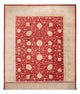 Ziegler Carpet 521x400cm - Orientalsk tæppe