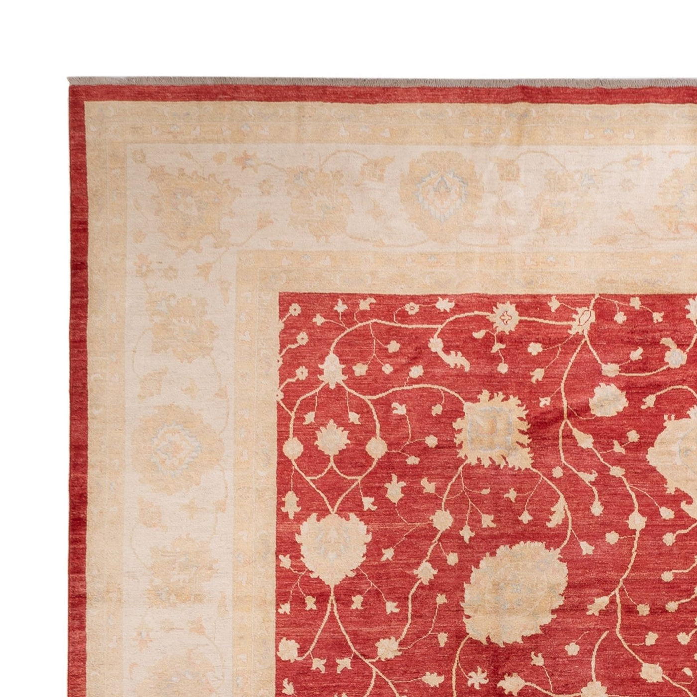 Ziegler Carpet 521x400cm - Orientalsk tæppe