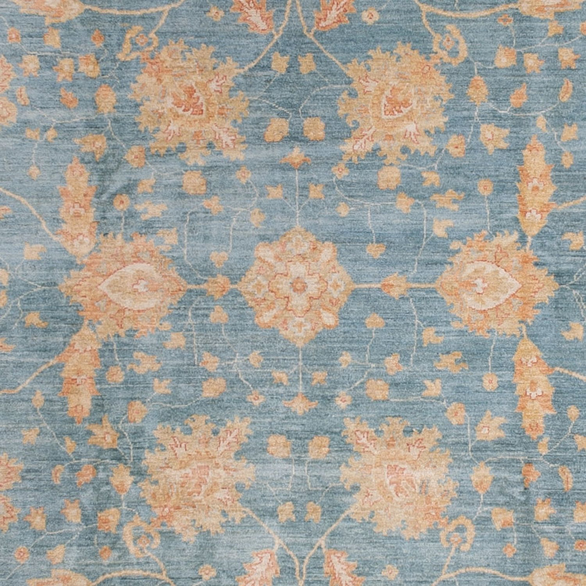 Ziegler Carpet - 495 x 306 cm - lyseblå