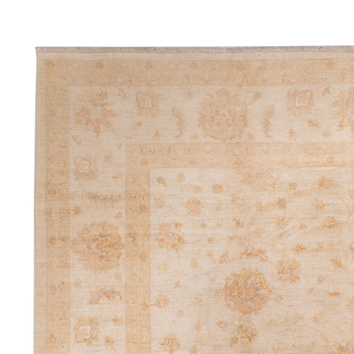 Ziegler Carpet - 541 x 348 cm - beige