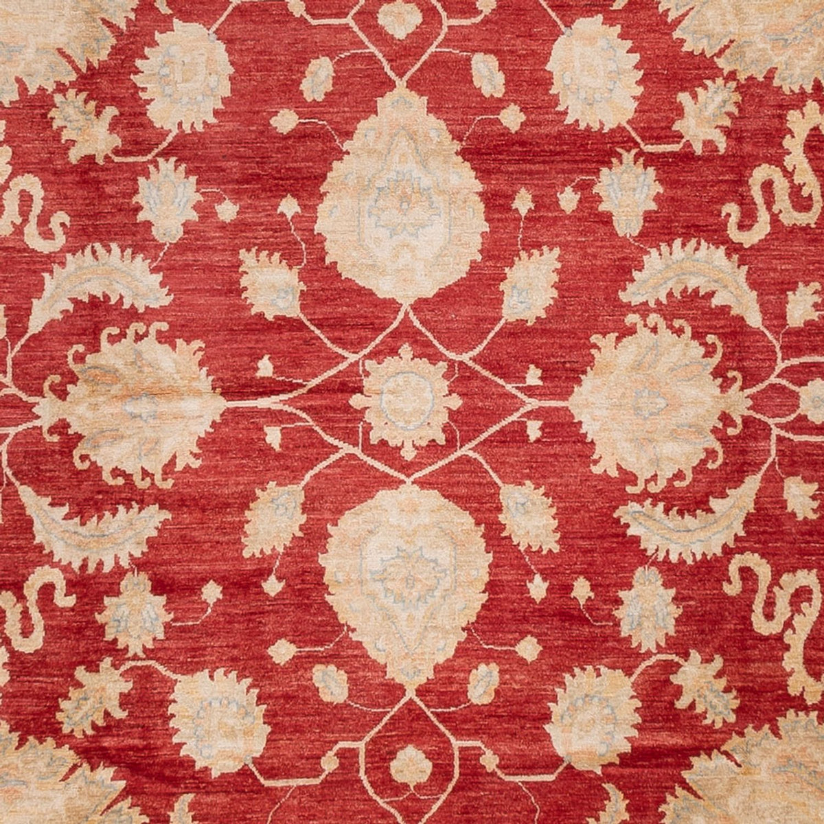 Ziegler Carpet - 540 x 352 cm - rød
