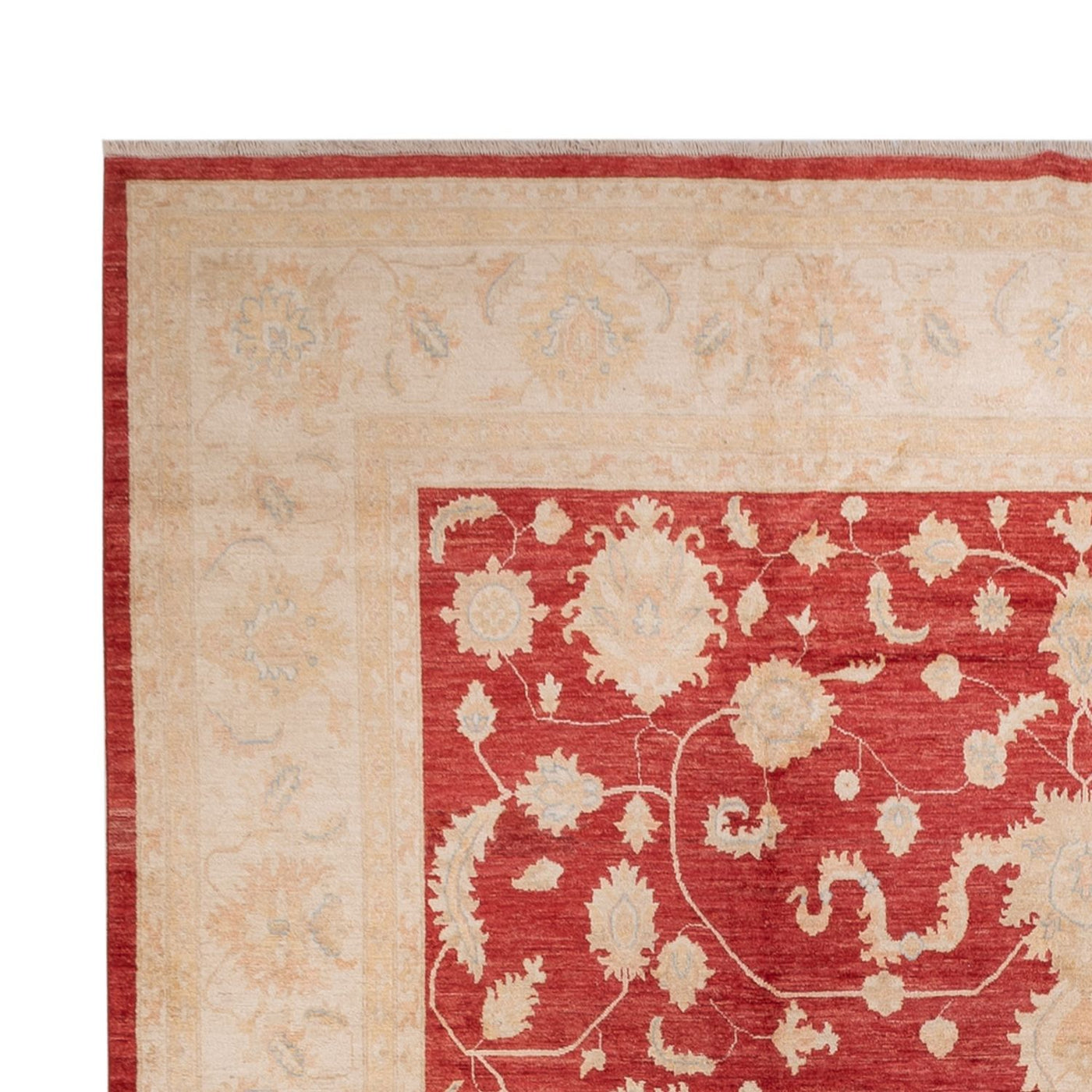 Ziegler Carpet 540x352cm - Orientalsk tæppe