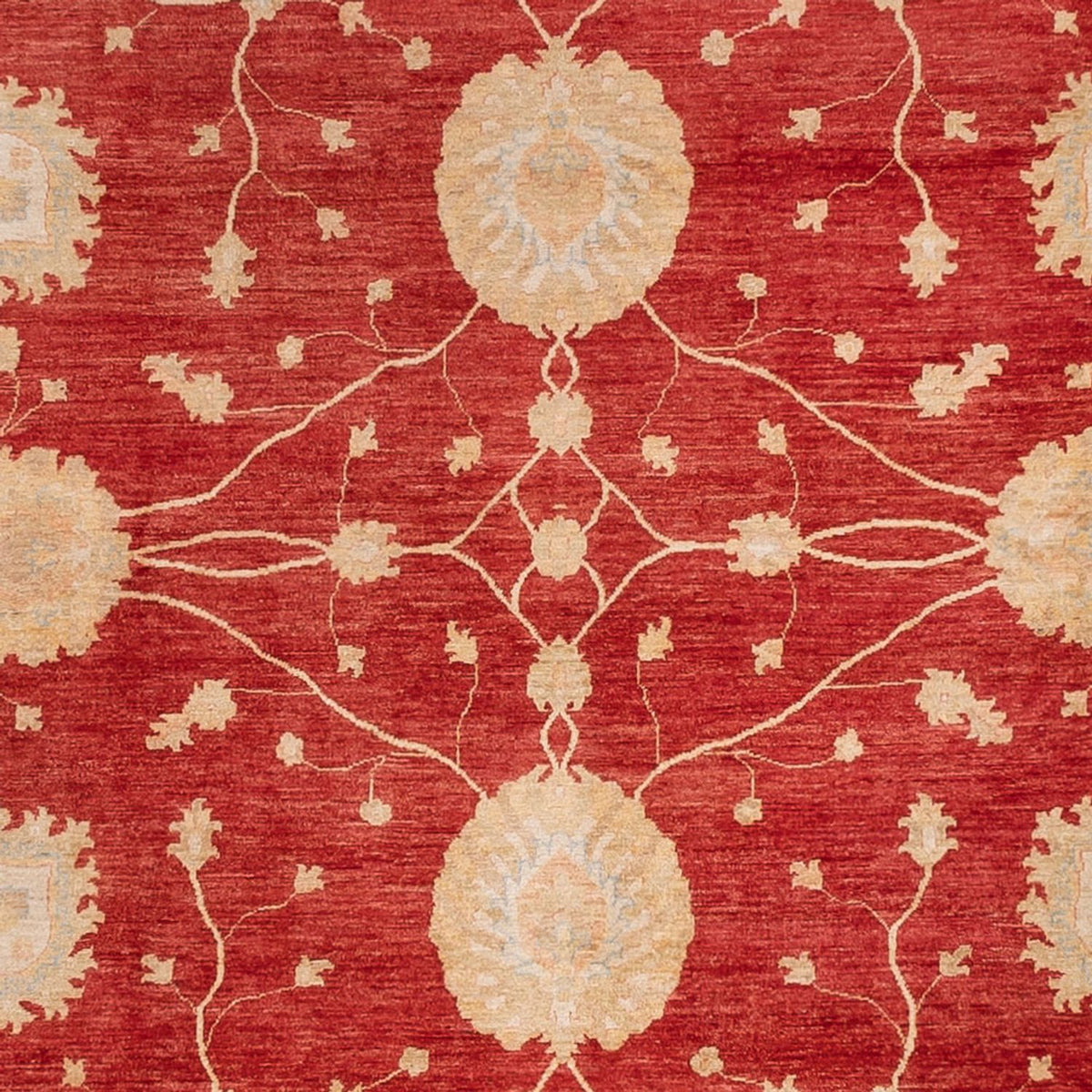 Ziegler Carpet - 465 x 353 cm - rød