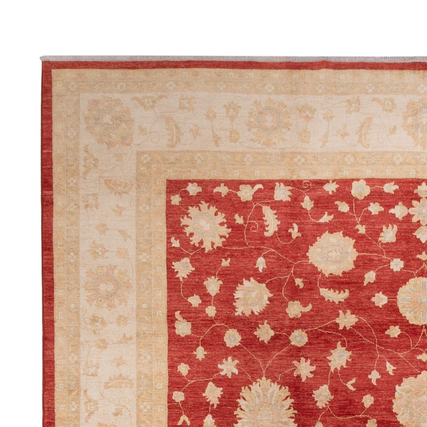 Ziegler Carpet 496x362cm - Orientalsk tæppe