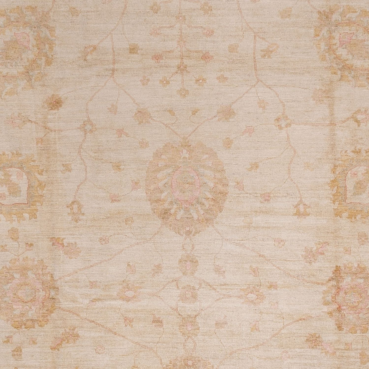 Ziegler Carpet - 543 x 350 cm - beige