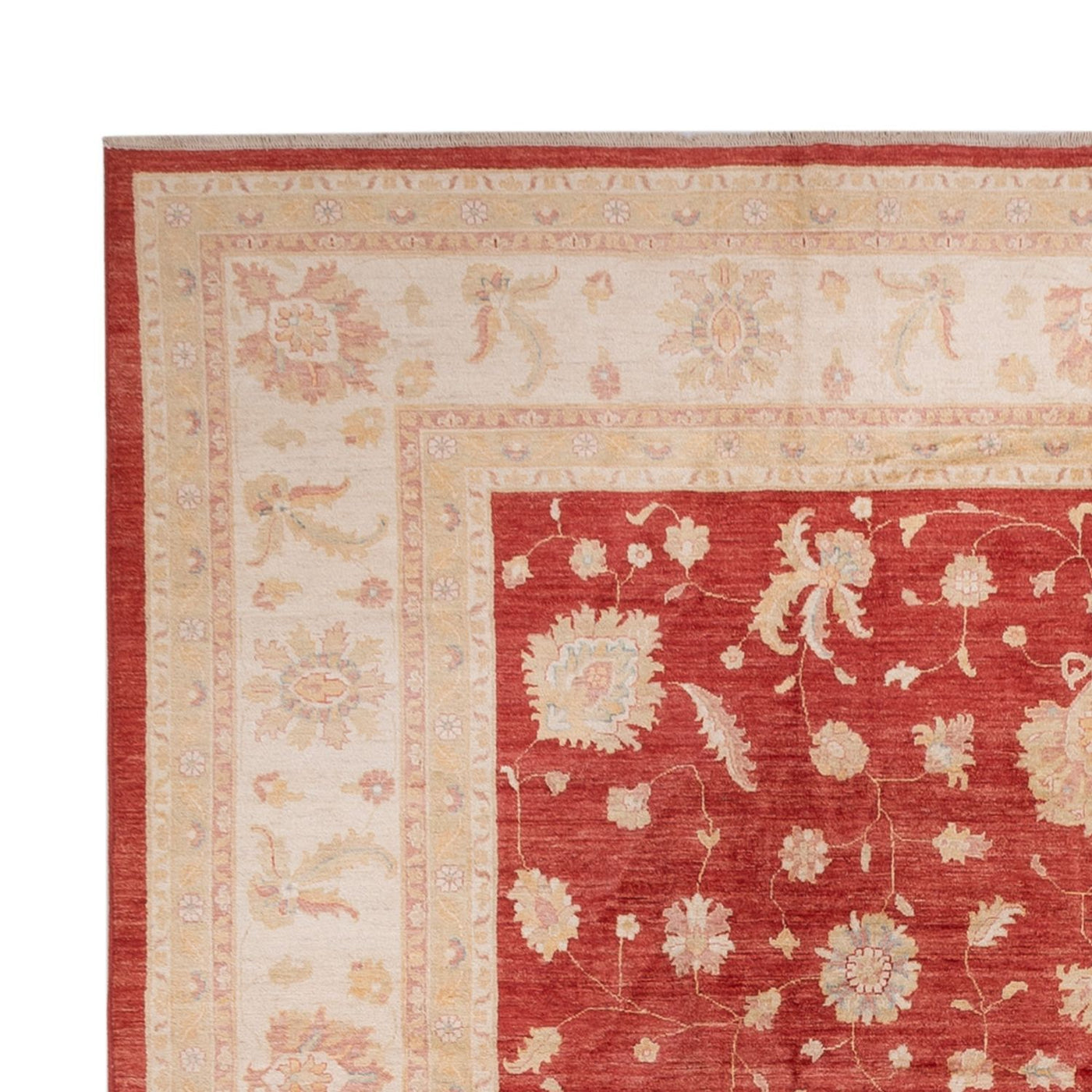 Ziegler Carpet 493x253cm - Orientalsk tæppe