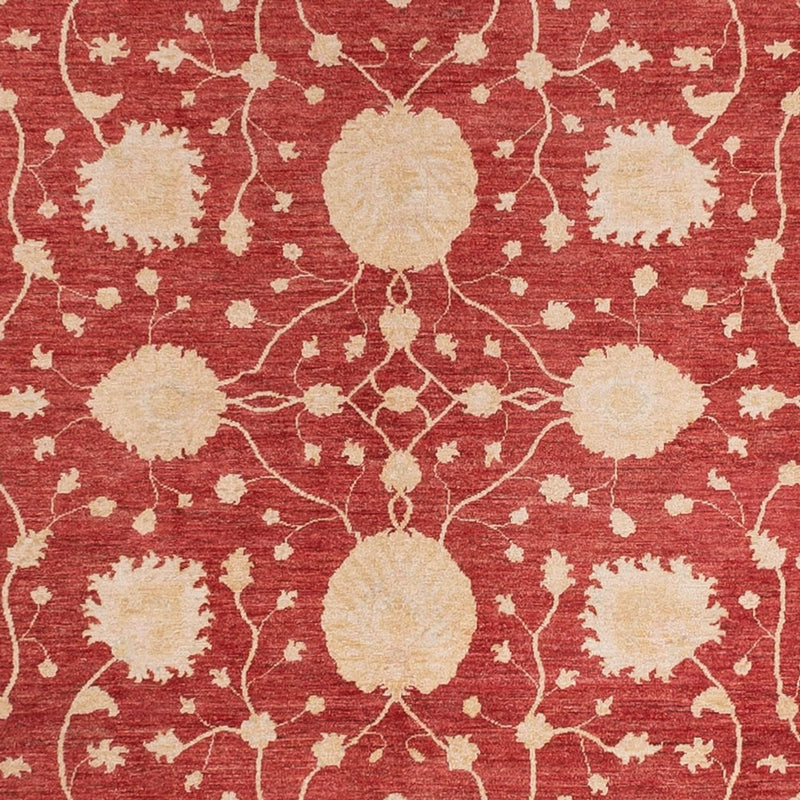 Ziegler Carpet - 484 x 304 cm - rød