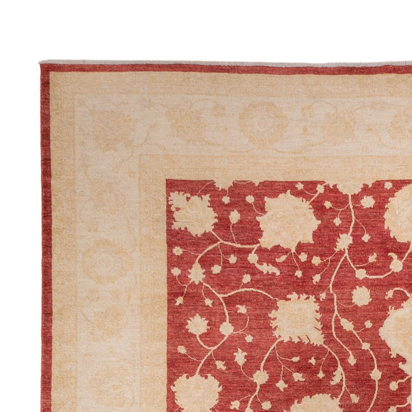 Ziegler Carpet 484x304cm - Orientalsk tæppe