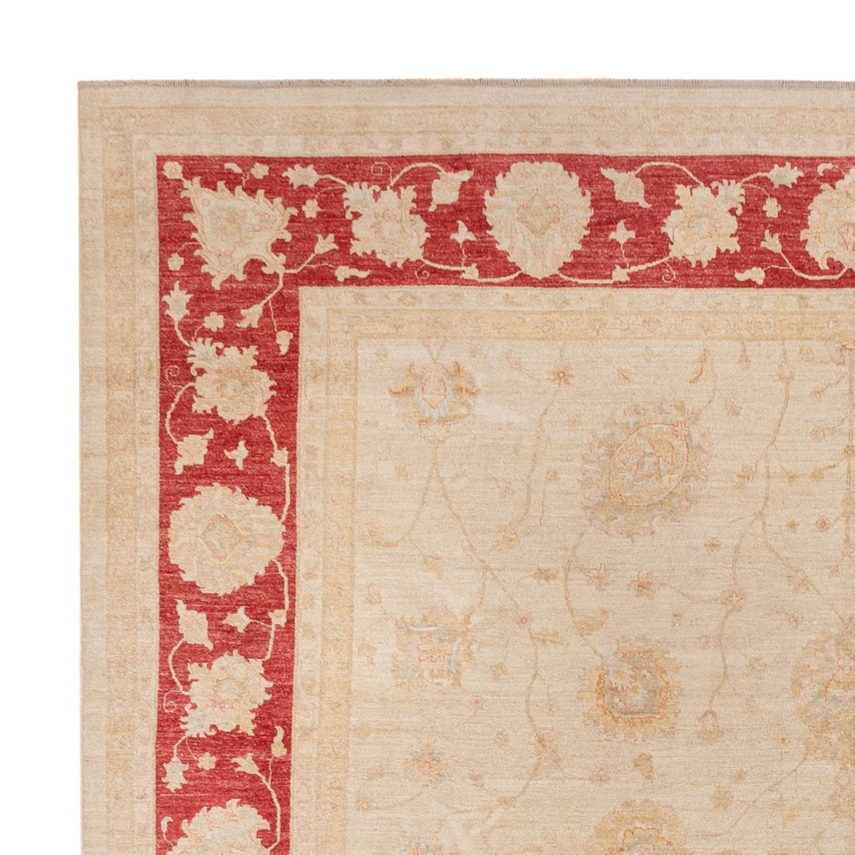 Ziegler Carpet firkantet  - 394 x 398 cm - beige