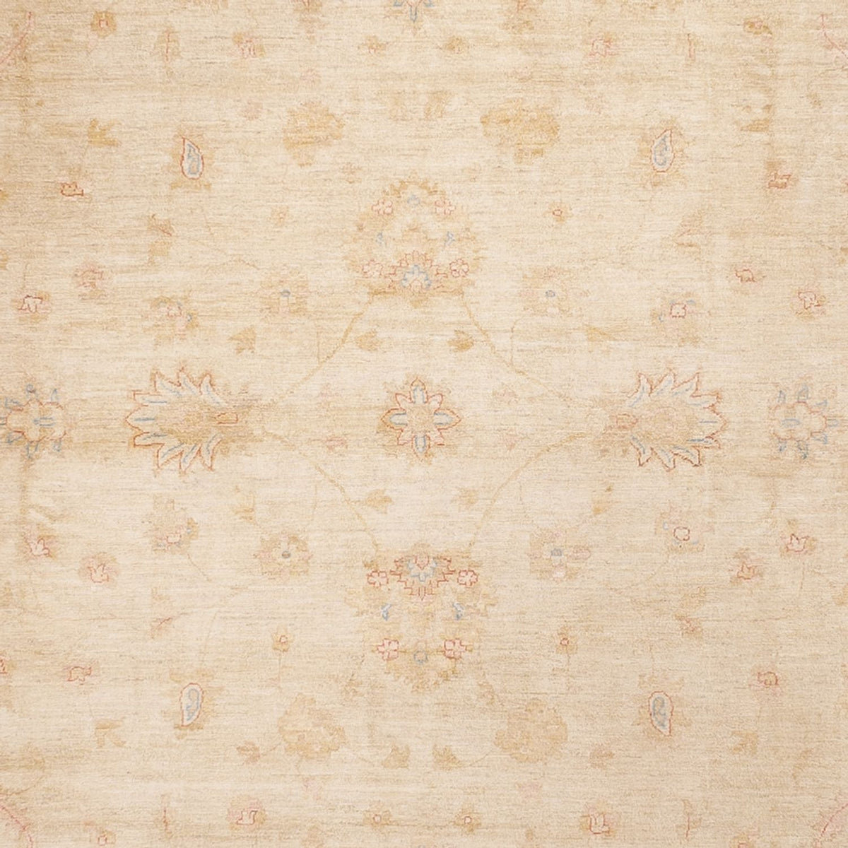 Ziegler Carpet - 488 x 398 cm - beige