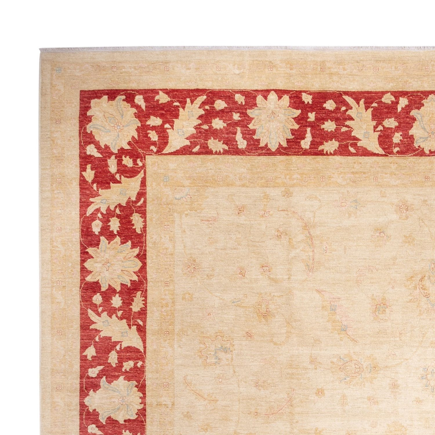 Ziegler Carpet 488x398cm - Orientalsk tæppe