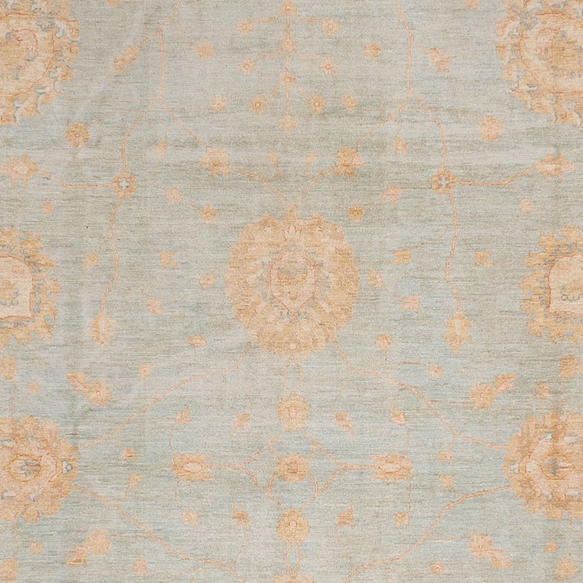 Ziegler Carpet - 543 x 354 cm - lyseblå