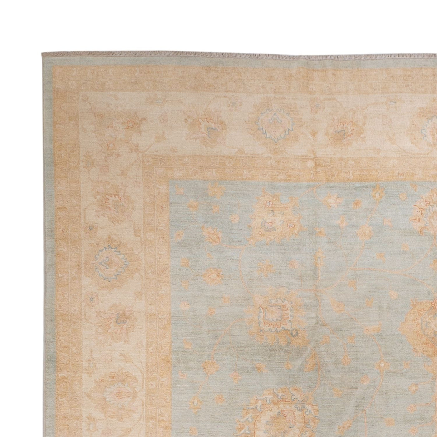 Ziegler Carpet 543x354cm - Orientalsk tæppe
