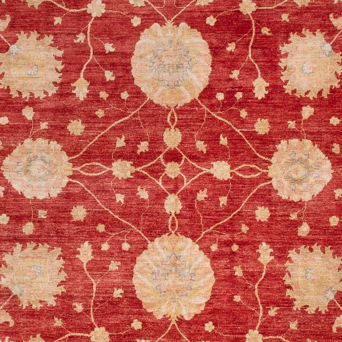Ziegler Carpet firkantet  - 392 x 403 cm - rød